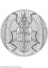 mandala de de besouro 