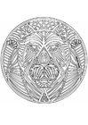 mandala de tigre 