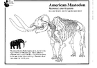 Página para colorir mastodonte 