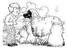 P�ginas para colorir menino com uma ovelha 