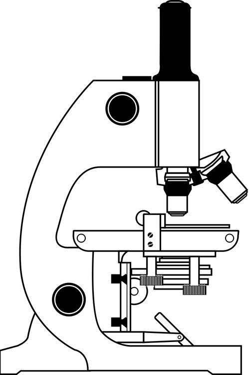 Página para colorir microscÃ³pio 