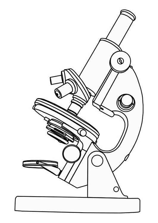 Página para colorir microscÃ³pio