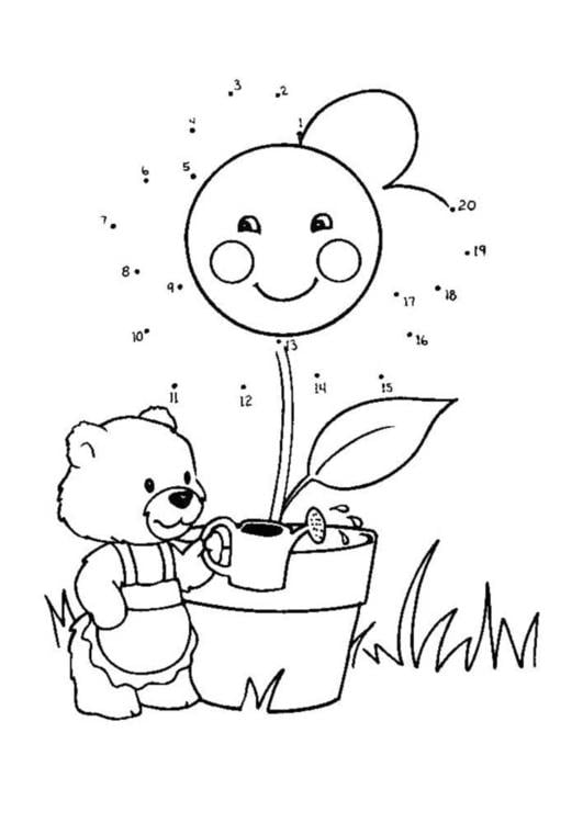molhando as plantas