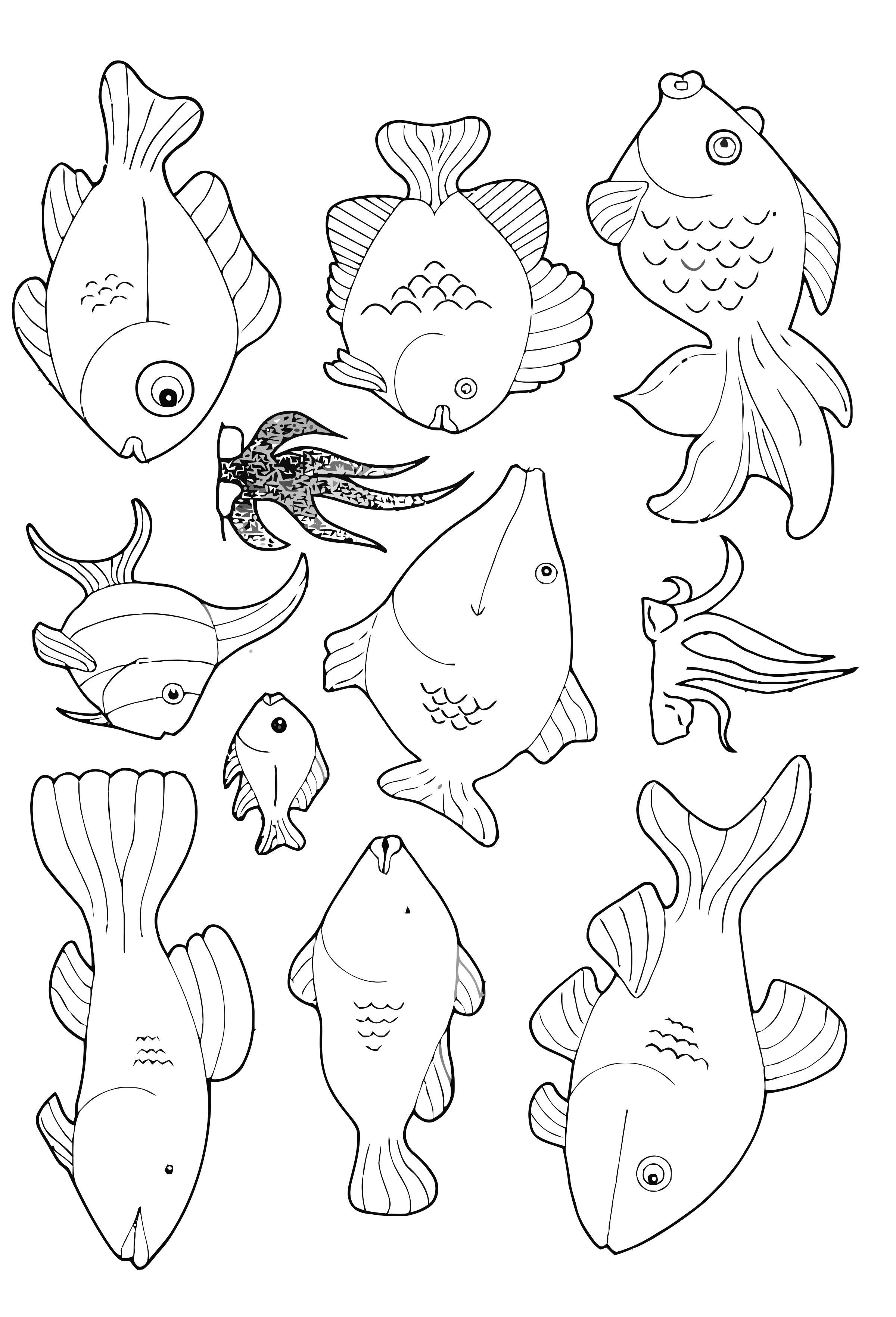 Página para colorir muitos peixes nadando ao redor