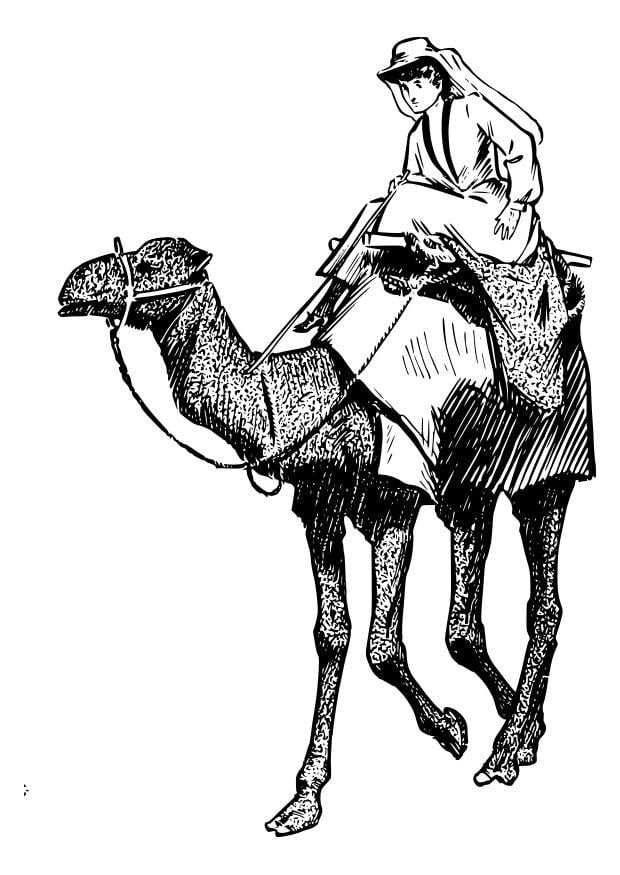 Página para colorir mulher no camelo