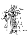 ninho de corvo