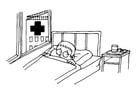no hospital