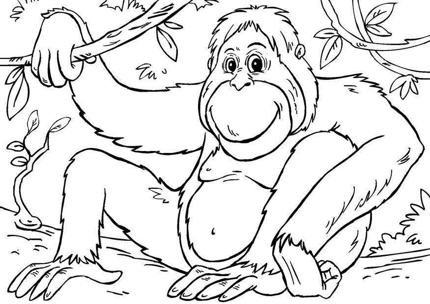 Página para colorir orangotango 