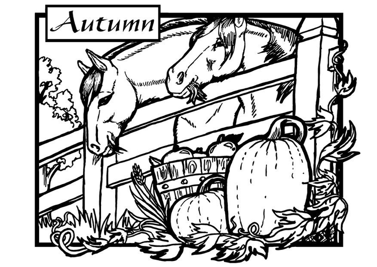 Página para colorir outono - cavalos