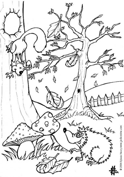 Página para colorir outono - ouriÃ§o e esquilo