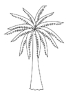 palmeira