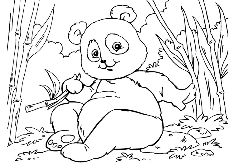Página para colorir panda