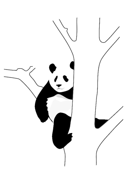 Página para colorir panda na Ã¡rvore