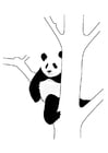 panda na árvore