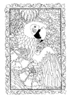 paginas-para-colorir papagaio
