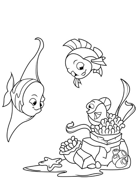 peixe brinca de esconde-esconde