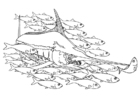 peixe-espada em um cardume de peixes 
