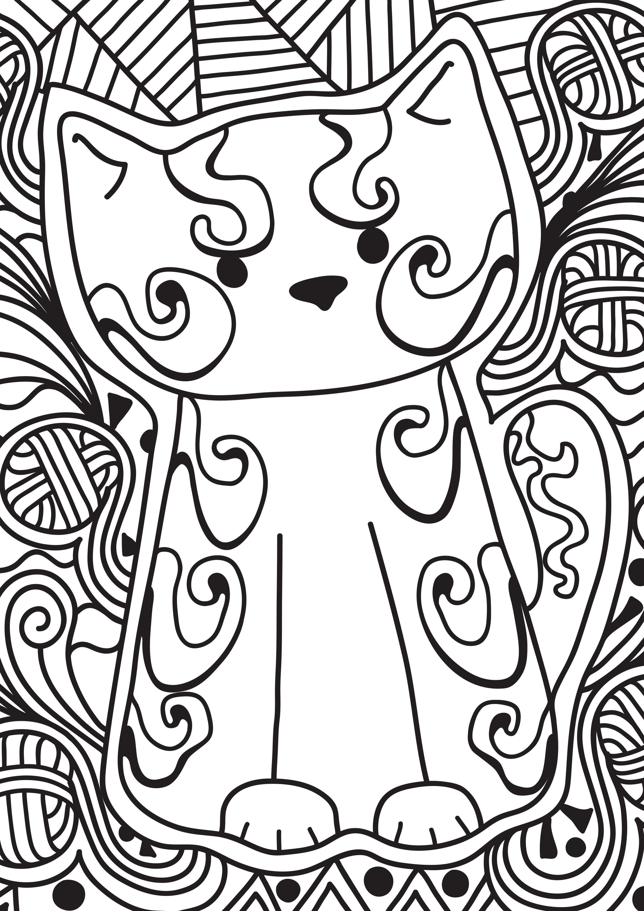 Desenhos para colorir de desenho de um gato kawaii gordinho para colorir  