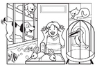 paginas-para-colorir pet shop