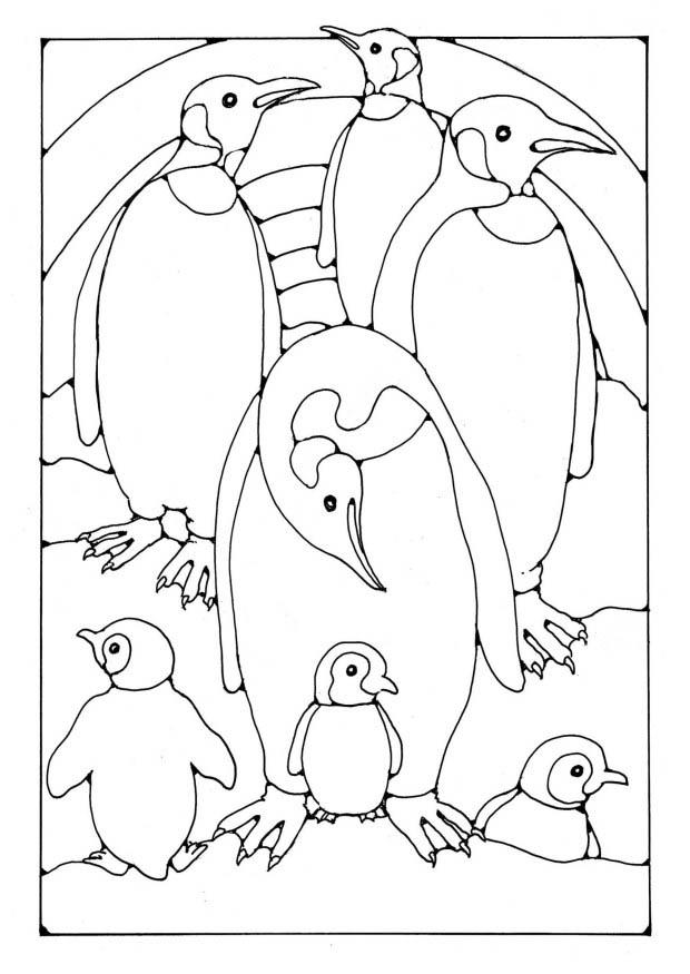Página para colorir pinguins 