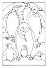 paginas-para-colorir pinguins 
