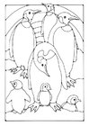 P�ginas para colorir pinguins 