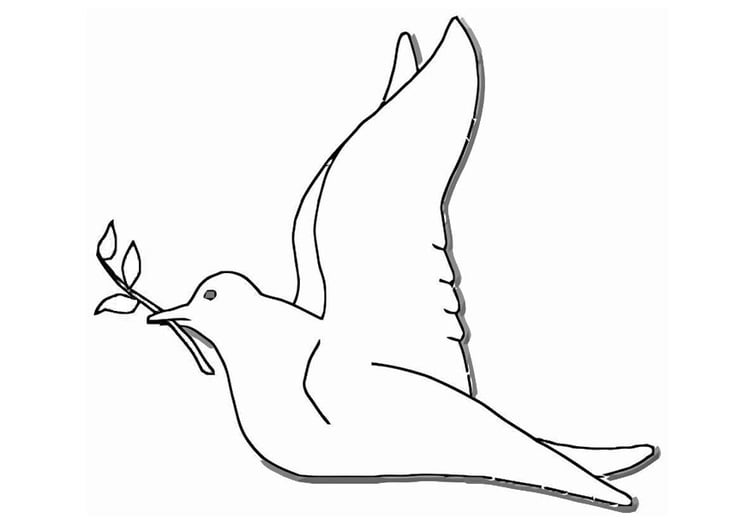 Página para colorir pomba da paz 