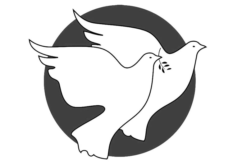 Página para colorir pombas da paz
