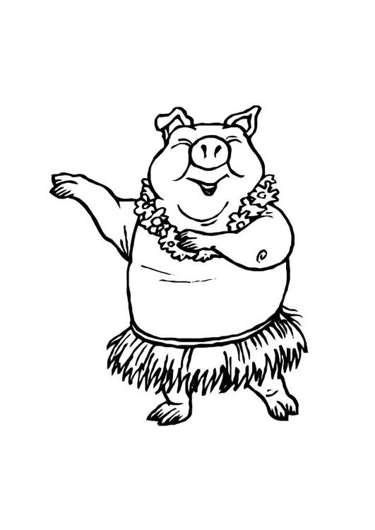 porco danÃ§ante 
