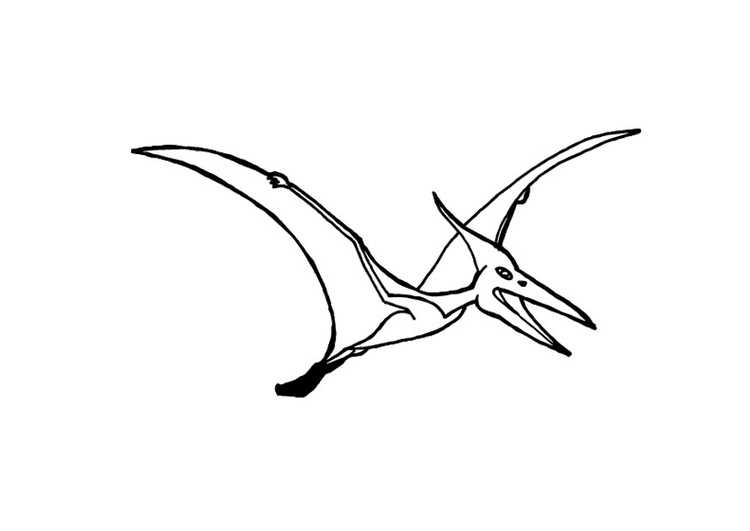 Página para colorir pterossauro 