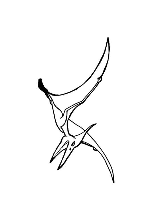 pterossauro 