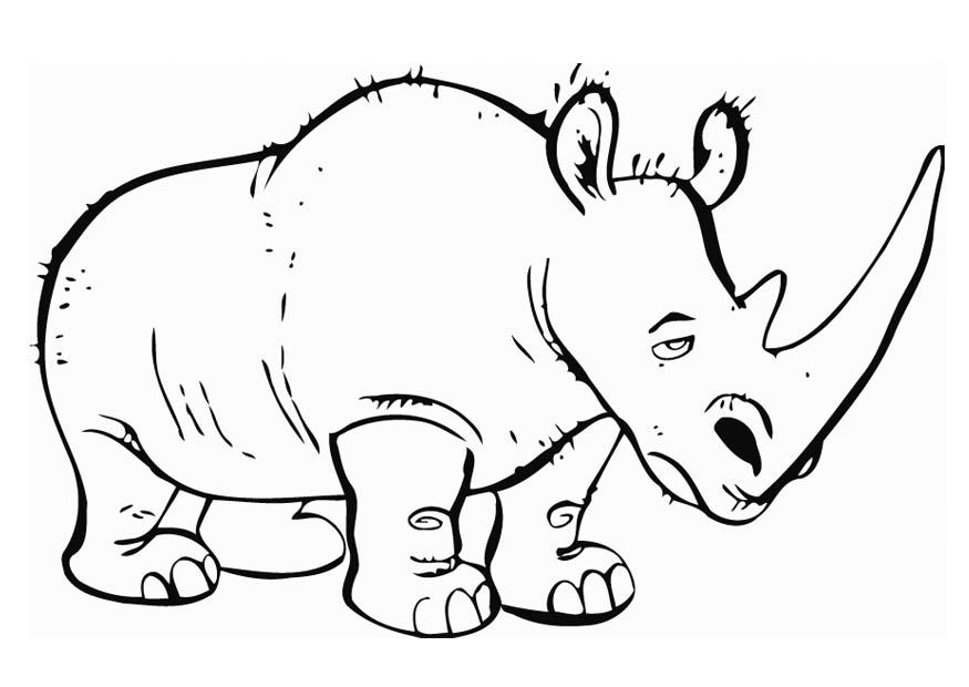 Página para colorir rinoceronte 