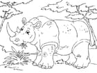 P�ginas para colorir rinoceronte 