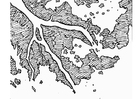 Página para colorir rio delta