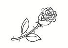 paginas-para-colorir rosa