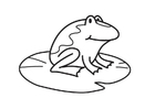 paginas-para-colorir sapo