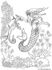Página para colorir sereia com cavalo marinho