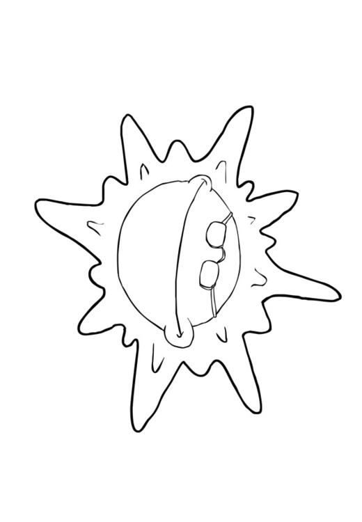 sol