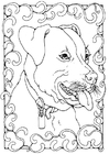 P�ginas para colorir staffordshire bulterrier