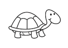 paginas-para-colorir tartaruga