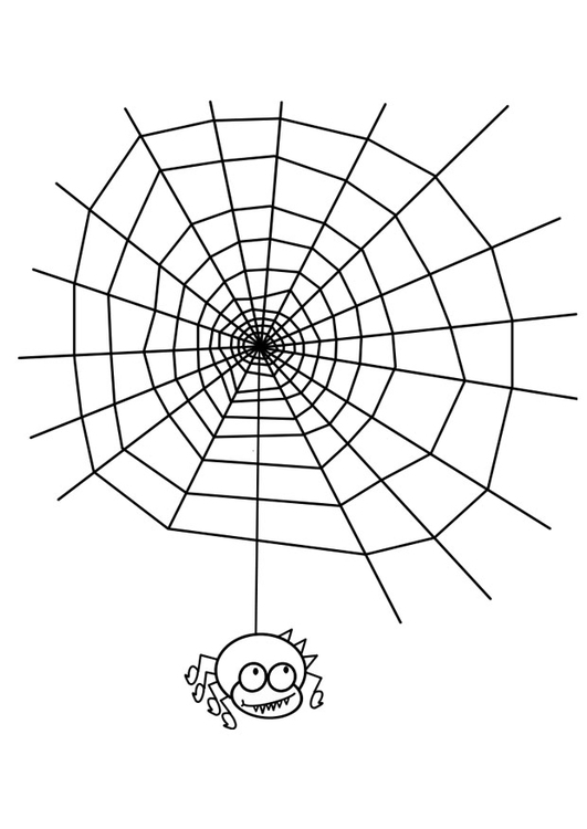 Página para colorir teia de aranha com uma aranha
