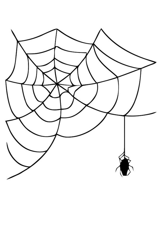 Página para colorir teia de aranha com uma aranha