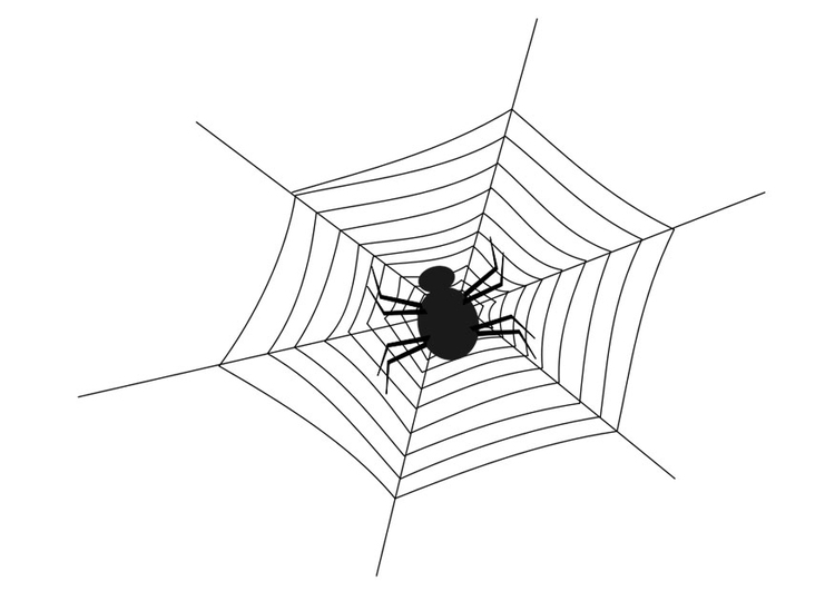 Página para colorir teia de aranha com uma aranha