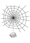 paginas-para-colorir teia de aranha com uma aranha