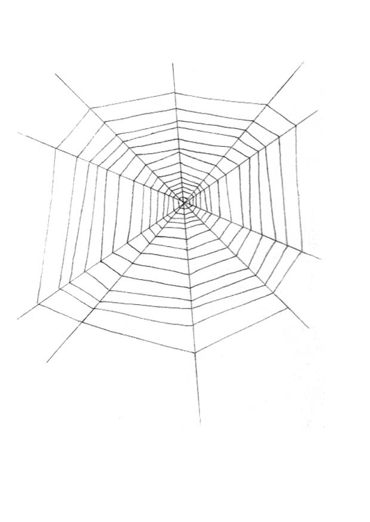 Página para colorir teia de aranha