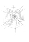 Página para colorir teia de aranha 