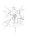 paginas-para-colorir teia de aranha