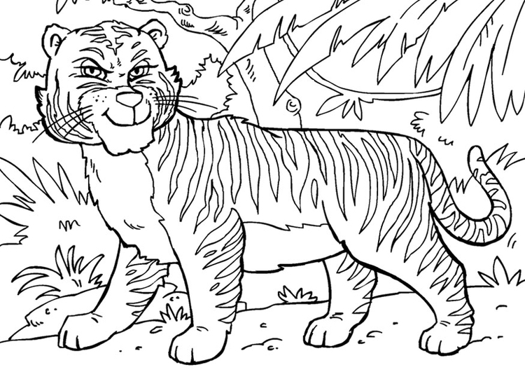Página para colorir tigre