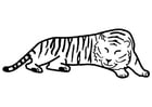Página para colorir tigre dormindo