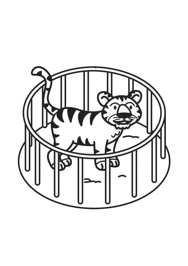 Página para colorir tigre na jaula